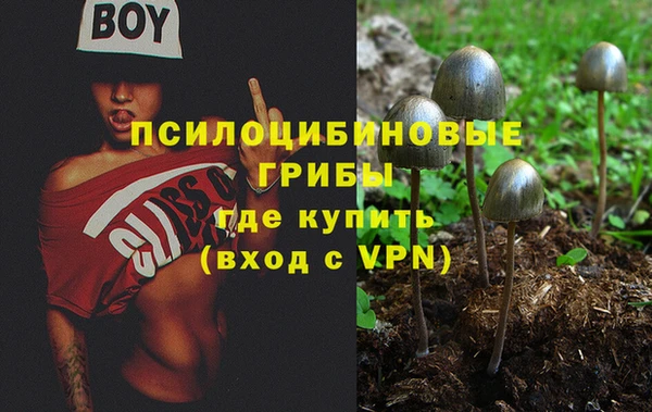 2c-b Баксан