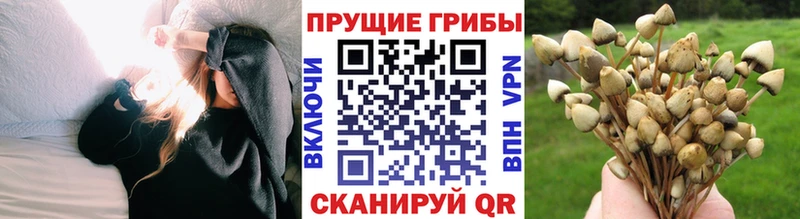 Галлюциногенные грибы ЛСД  ссылка на мегу ссылки  Красавино  наркошоп 