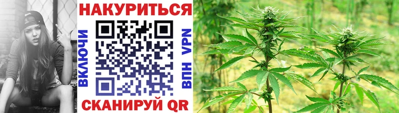 МАРИХУАНА конопля Красавино